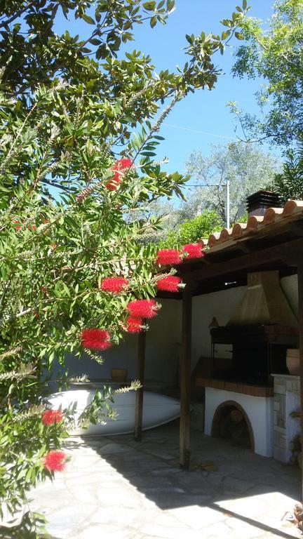 הוילה לפוקסטרו Stelios Seaside House מראה חיצוני תמונה