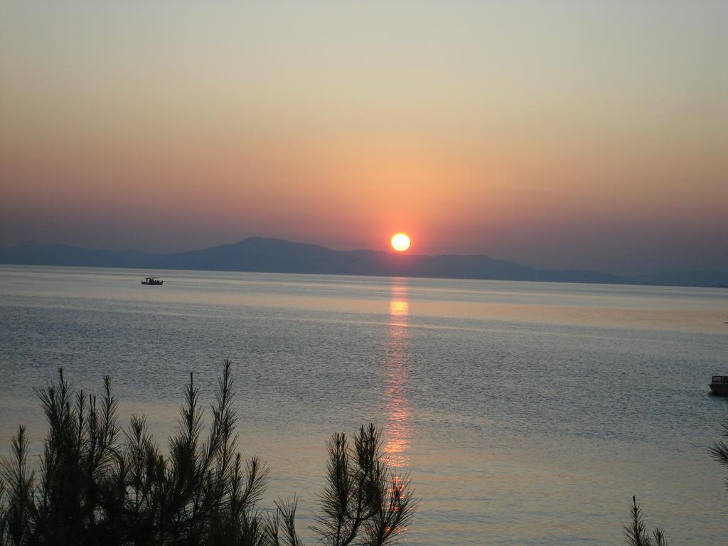 הוילה לפוקסטרו Stelios Seaside House מראה חיצוני תמונה